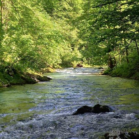 Apartma Marjetica Blejska Dobrava Dış mekan fotoğraf