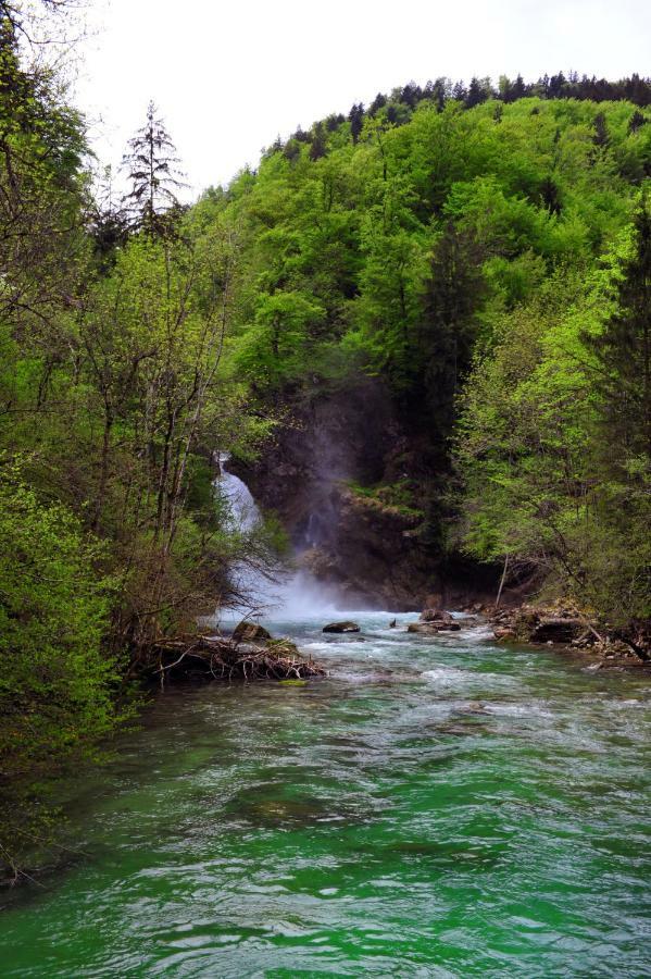 Apartma Marjetica Blejska Dobrava Dış mekan fotoğraf