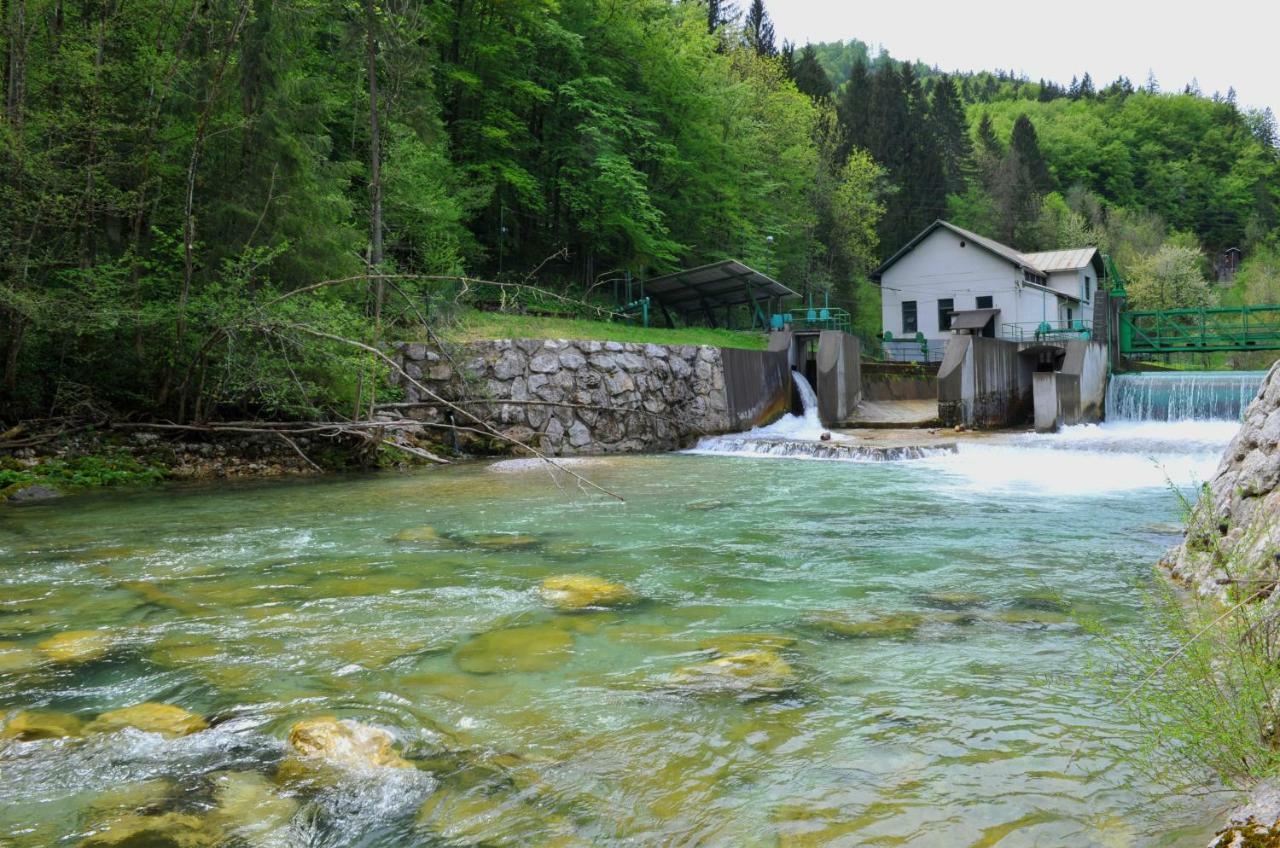Apartma Marjetica Blejska Dobrava Dış mekan fotoğraf